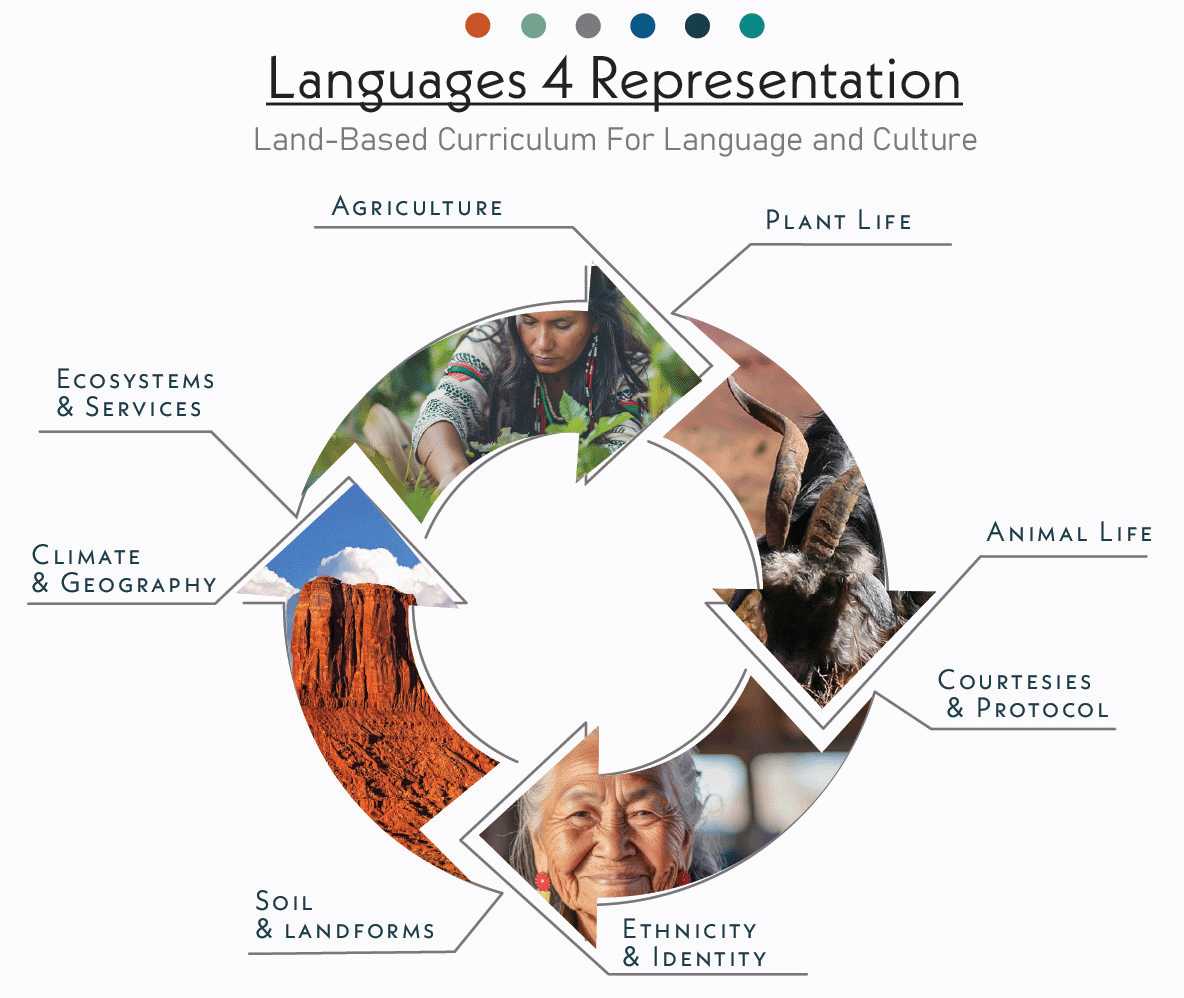 Cycle of Different Types of Cultural Representation
